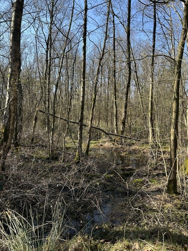 Durchs Venner Moor