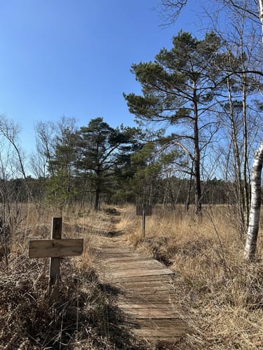 Durchs Venner Moor