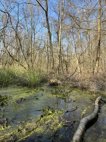 Durchs Venner Moor