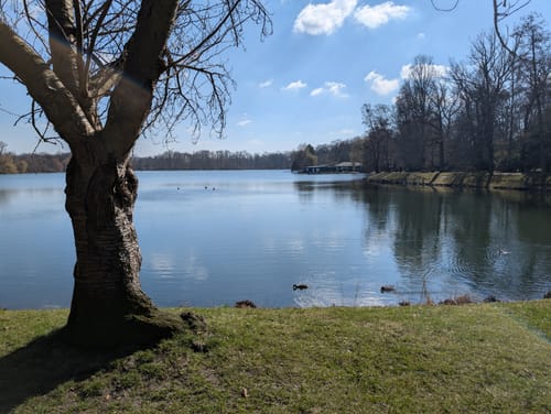 Zwickau: Rund um den Schwanenteich
