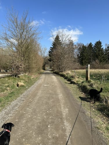 Kleberbachtal Runde