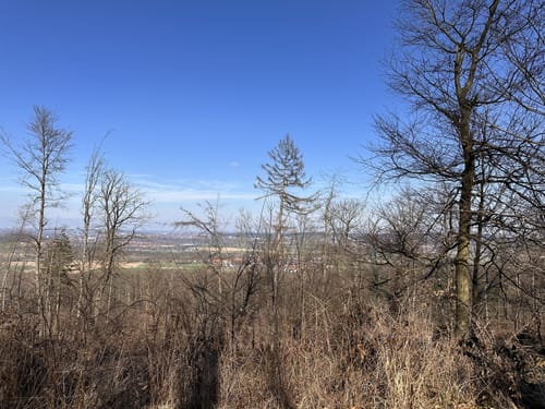 Rund um Diekholzen über Tosmarberg