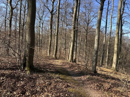 Rund um Diekholzen über Tosmarberg