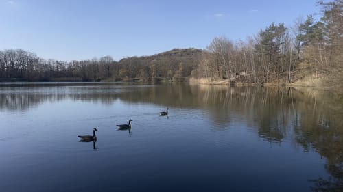 Um den Oberwaldsee