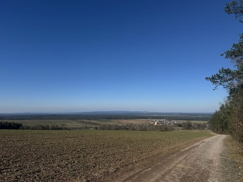 Kohlberg durch dem Wald nach Artesgrün