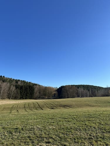 Kohlberg durch dem Wald nach Artesgrün