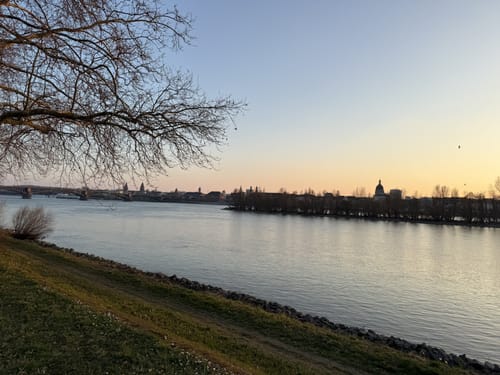 Mainufer: Schlosspark - Zollhafen - Burgpark