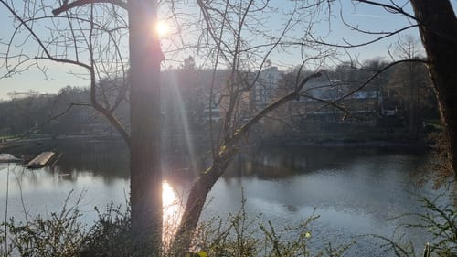 Deutscher-Französischer Garten