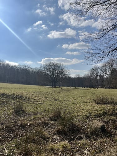 Rund um den Wildwald Voßwinkel