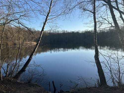 Um den Berggeistweiher