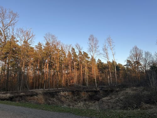 Um den Berggeistweiher