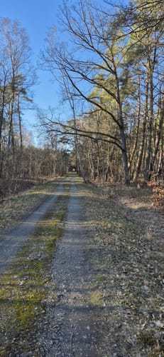 Rieth - Ludwigshof