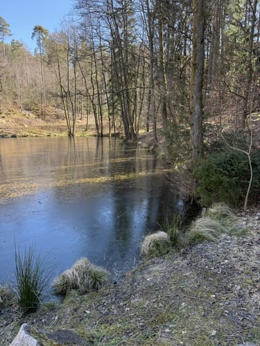 Rundwanderweg Reinhardsbrunn
