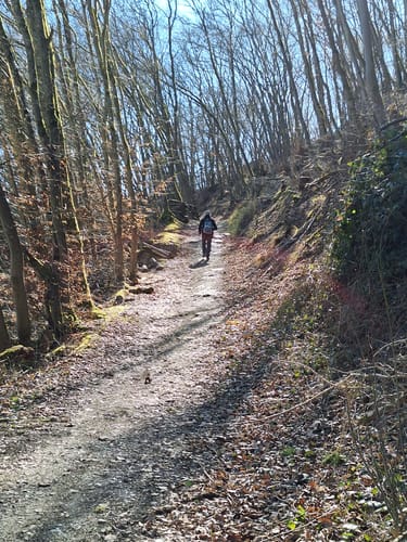 Domblick (Traumschleife)