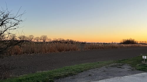Naturschutzgebiet Lampertheimer Altrhein: Welsches Loch und Rhein