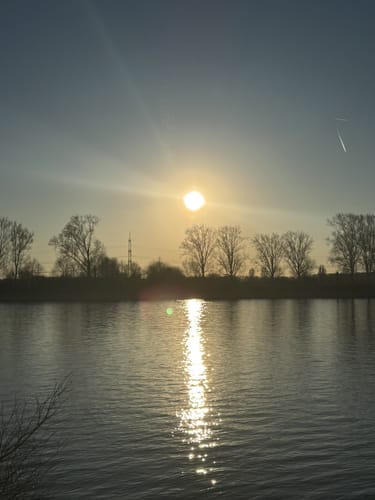 Naturschutzgebiet Lampertheimer Altrhein: Welsches Loch und Rhein