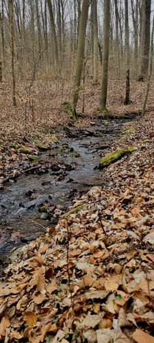 Rundwanderweg "Buschklepperweg"