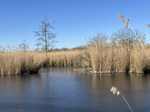Herrenhaus Nütschau - Silbersee Rundwanderung