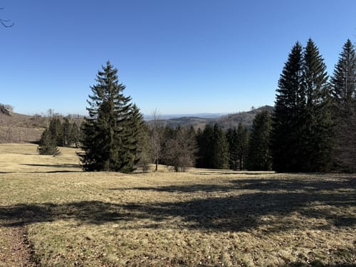 Inselsberg Rundweg