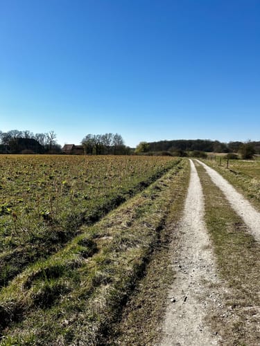Großer Rundweg Geisterholz