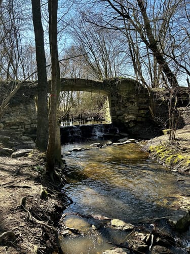 Großer Rundweg Geisterholz