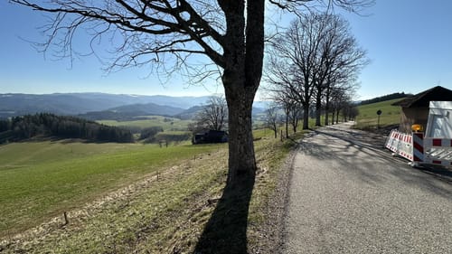 Panoramaweg: St. Märgen - St. Peter
