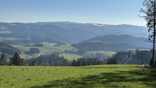 Panoramaweg: St. Märgen - St. Peter