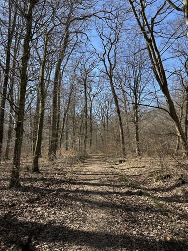 Hegbachaue und Ernst-Ludwig-Teich