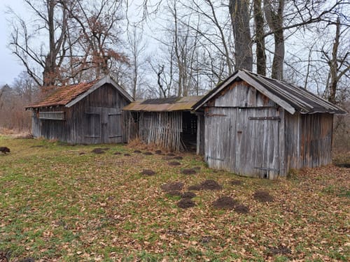 Entlang der Traun um die Poschmühle