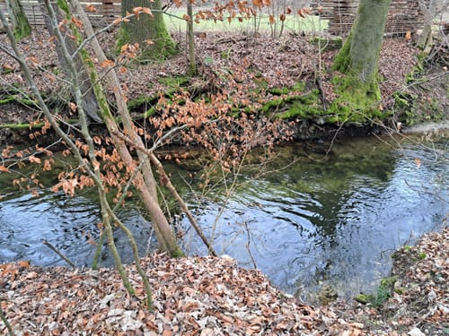 Entlang der Traun um die Poschmühle