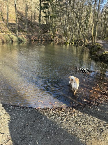 Rundwanderweg Seeheim-Jugenheim Friedensquelle 6: Galgen-Weg
