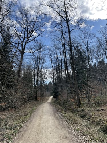 Panoramatour durch das Welland (Tour 2)