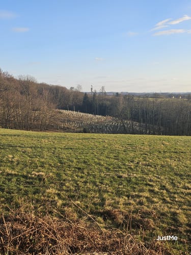 Rundwanderung Daipenbecke