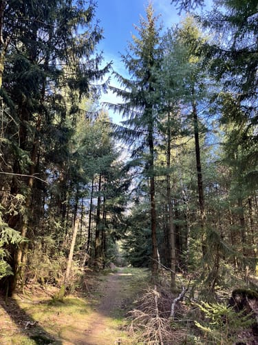 Nördliches Eiterbachtal mit Stiefelhütte