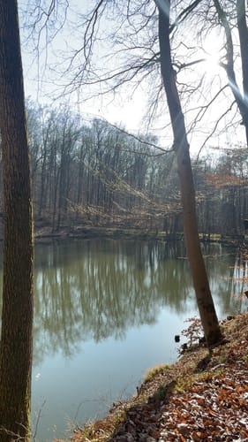Wanderweg bei Nordenstadt