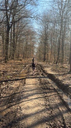 Wanderweg bei Nordenstadt