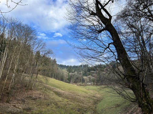Nördliches Eiterbachtal mit Stiefelhütte