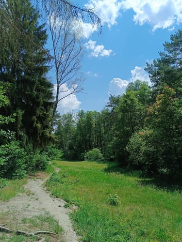 Mit dem MTB um den Müggelberg