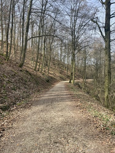 Hemsbach - Das Wanderdreieck an der Badischen Bergstraße