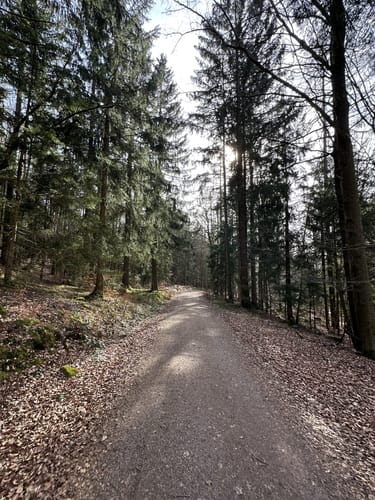 Rundwanderweg Kürnburg (St09)