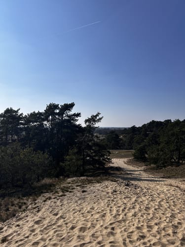 Von Dömitz zu den Dünen in Schmölen