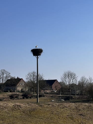 Von Dömitz zu den Dünen in Schmölen