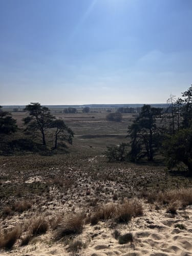 Von Dömitz zu den Dünen in Schmölen