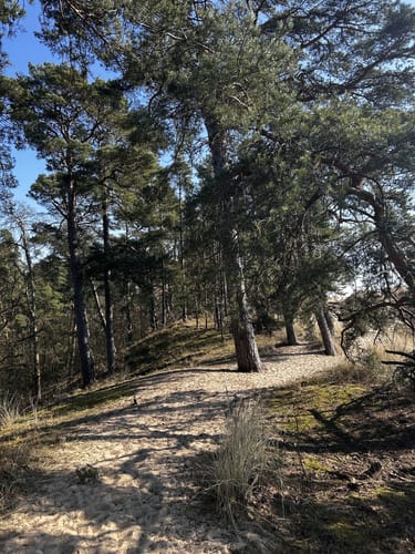 Von Dömitz zu den Dünen in Schmölen