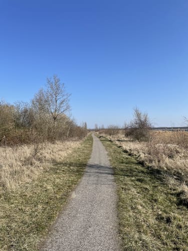 Rund um den Wallendorfer See