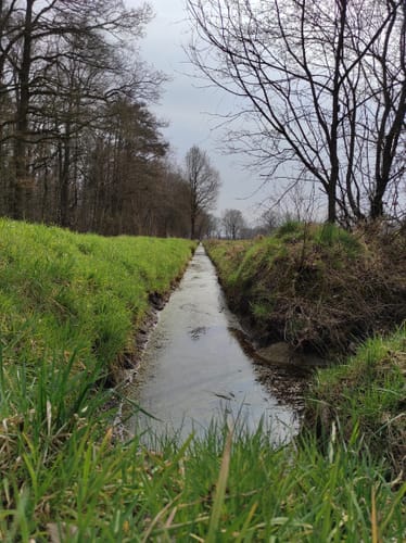 Klausenhof Rundweg A1