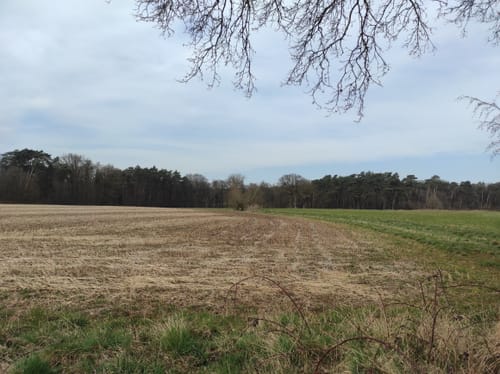 Klausenhof Rundweg A1