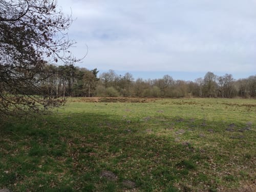 Klausenhof Rundweg A1