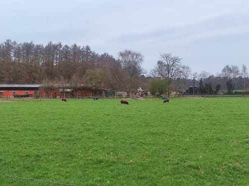 Klausenhof Rundweg A1