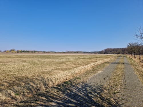 Kleine Runde in Frauenhain